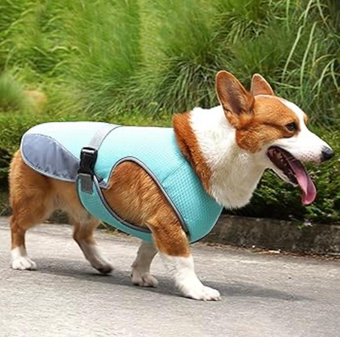 Pettorina refrigerante per cani, mantiene fresco il tuo cucciolo, collare per cani estivo.