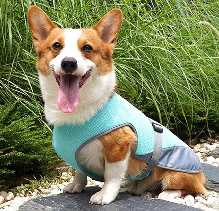 Pettorina refrigerante per cani, mantiene fresco il tuo cucciolo, collare per cani estivo.